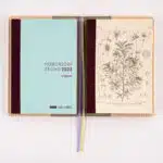 Hobonichi-plain-notebook-2023-2