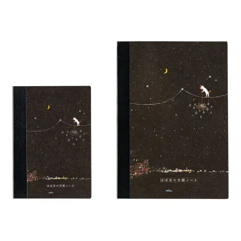 Graph Notebook : Hiroko
