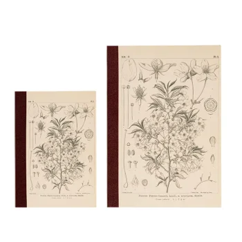 Graph Notebook : Yamazakura